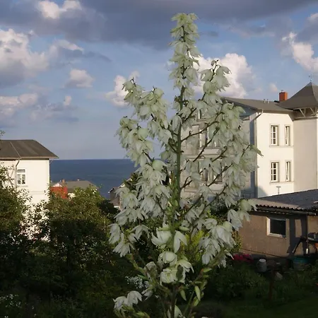 Sassnitz-villa-tizian-whg-02 아파트 사스니츠